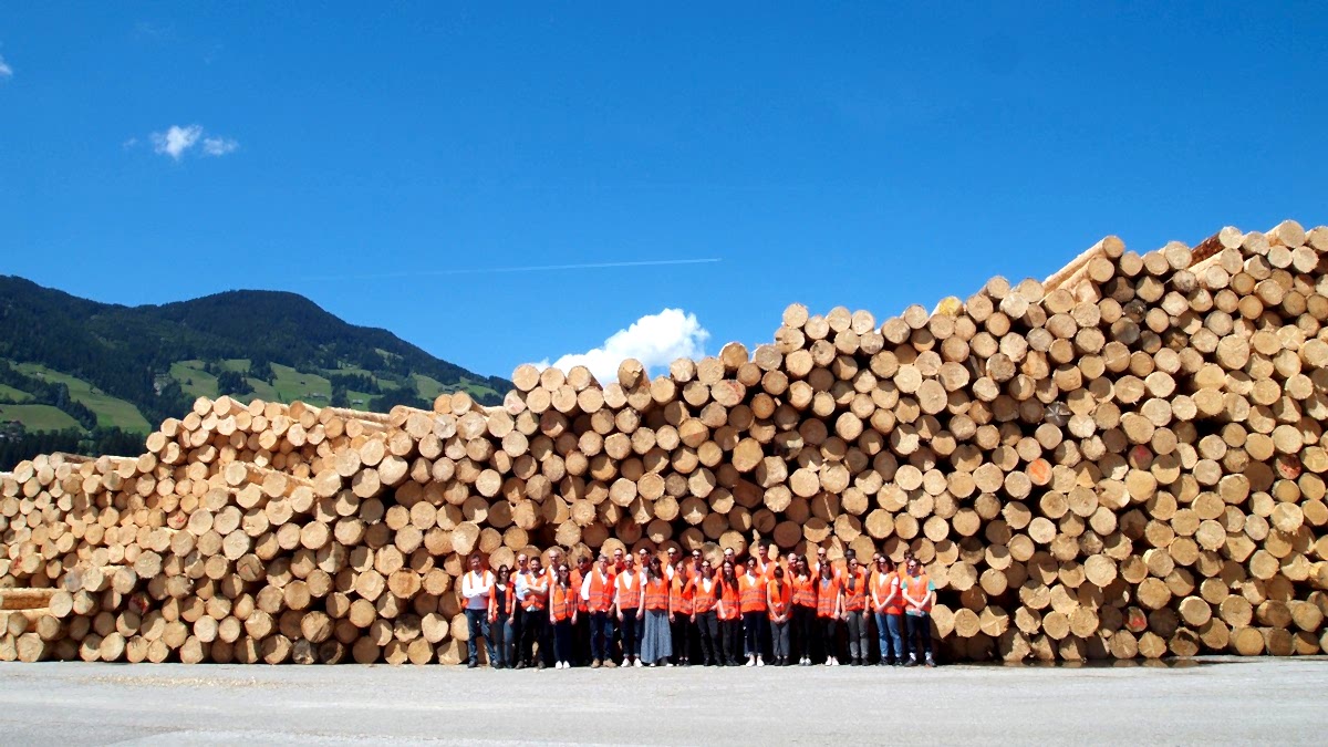 Wooden buildings - a solution to climate change? 1