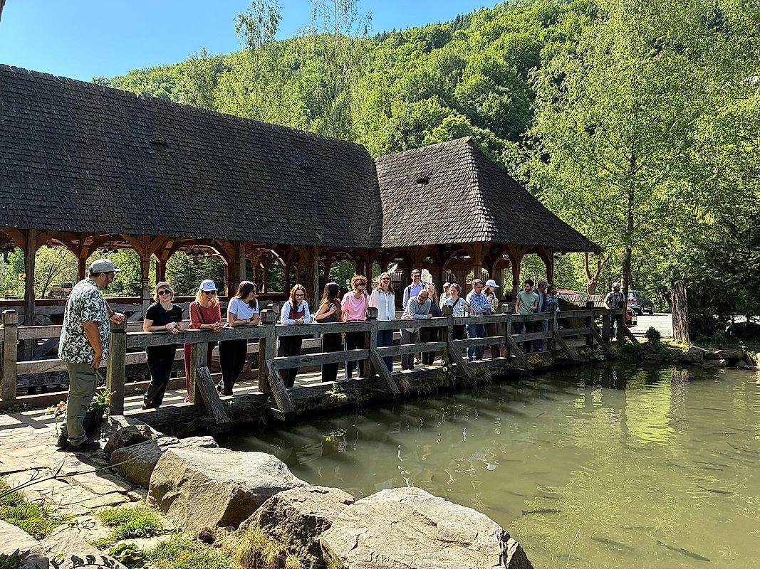 Timberhaus Consortium meets in Baia Mare 2